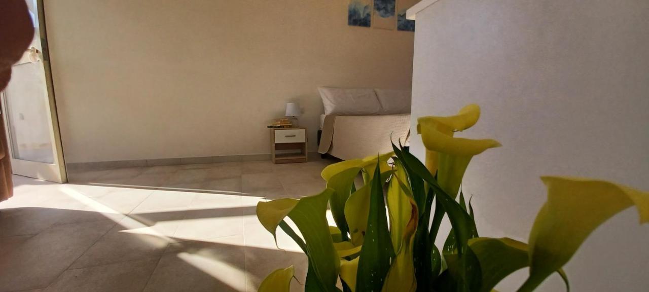 بيسْكيتْشّي B&B Dimorangel المظهر الخارجي الصورة